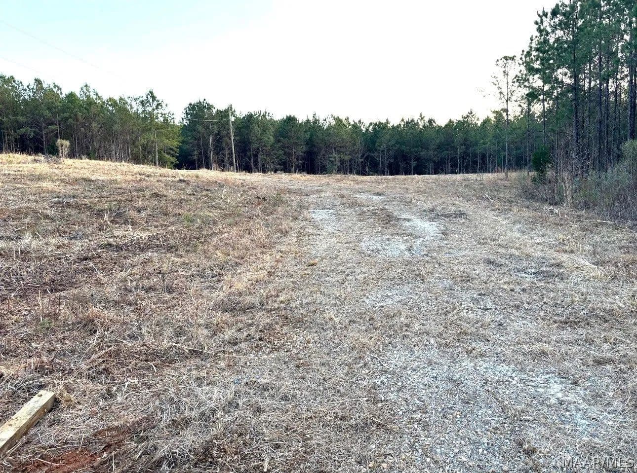 10 Acres of Land for Sale in Grady, Alabama - Grady, Alabama, 36036