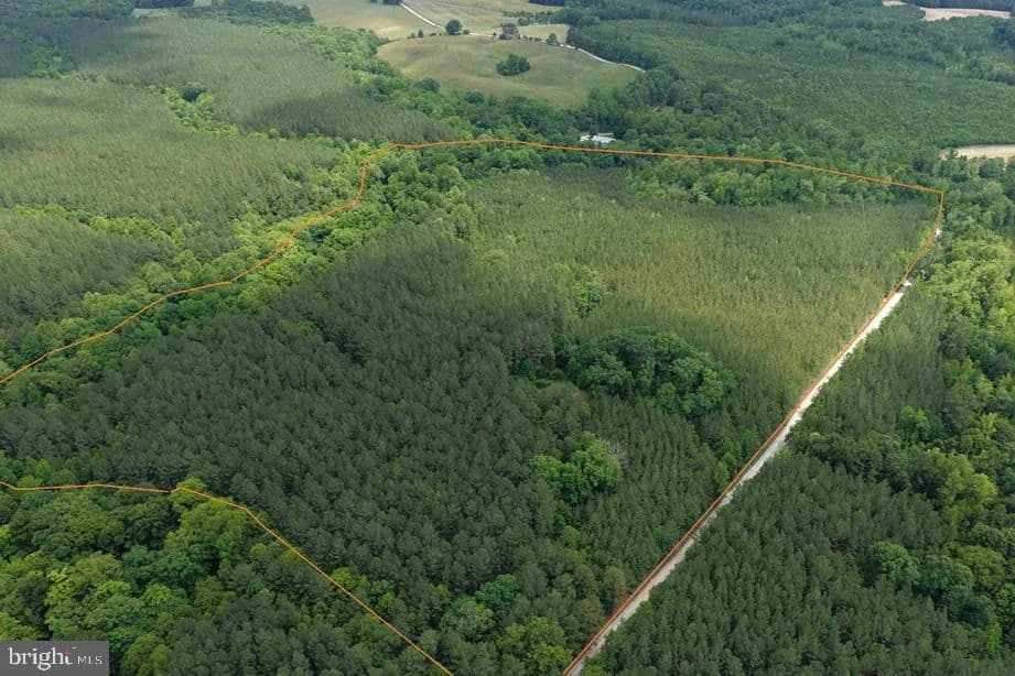 46.86 Acres of Land for Sale in Chase City, Virginia - Chase City, Virginia, 23924