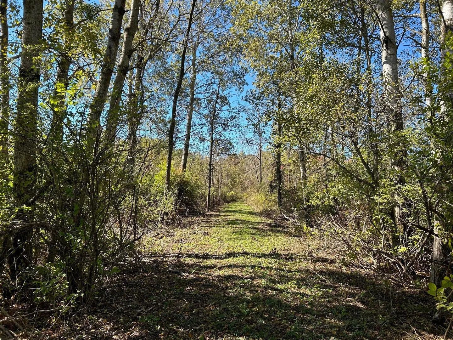 Lots & Land-Other in Remus - land for sale