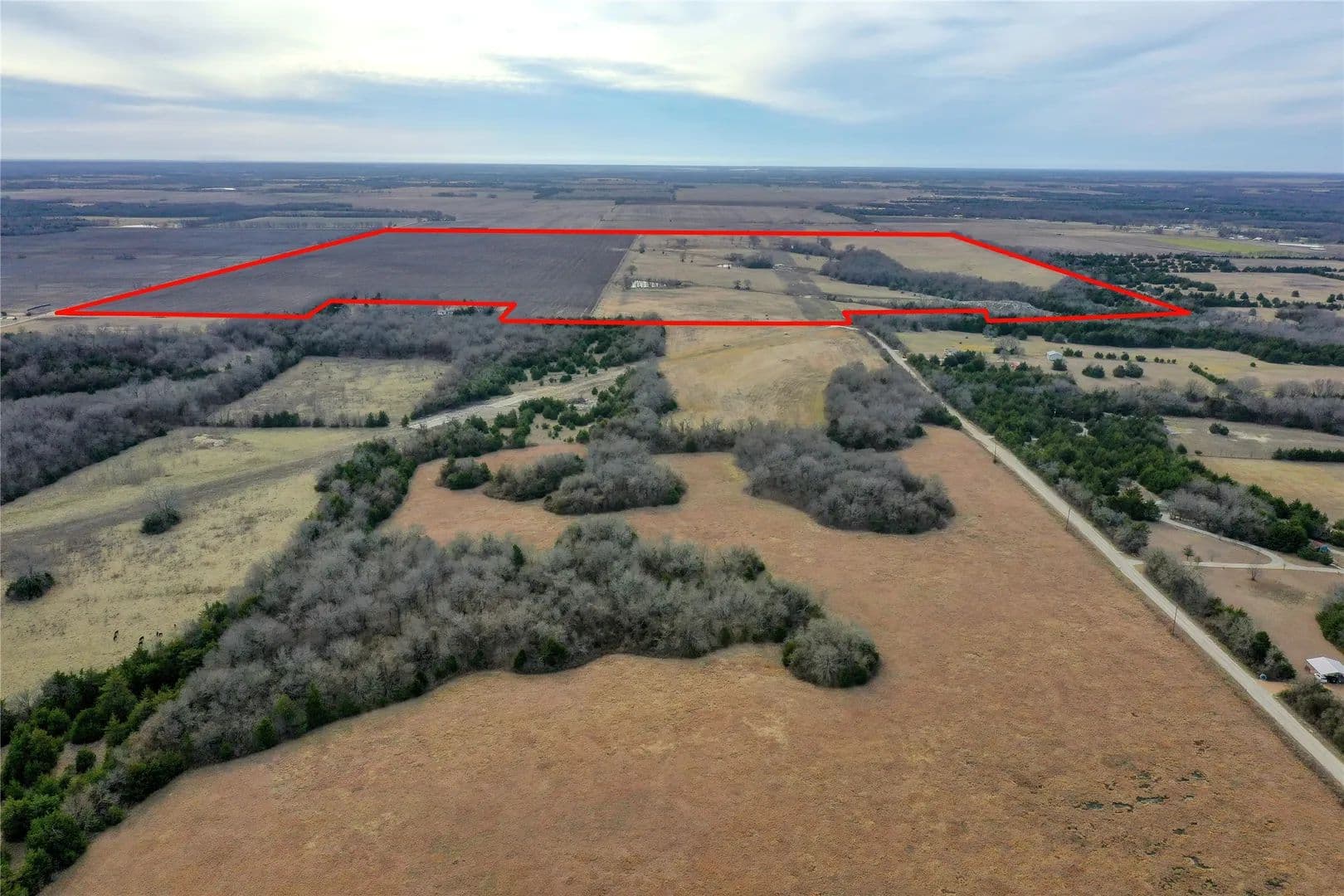 303.01 Acres of Land for Sale in Dodd City, Texas - Dodd City, Texas, 75438