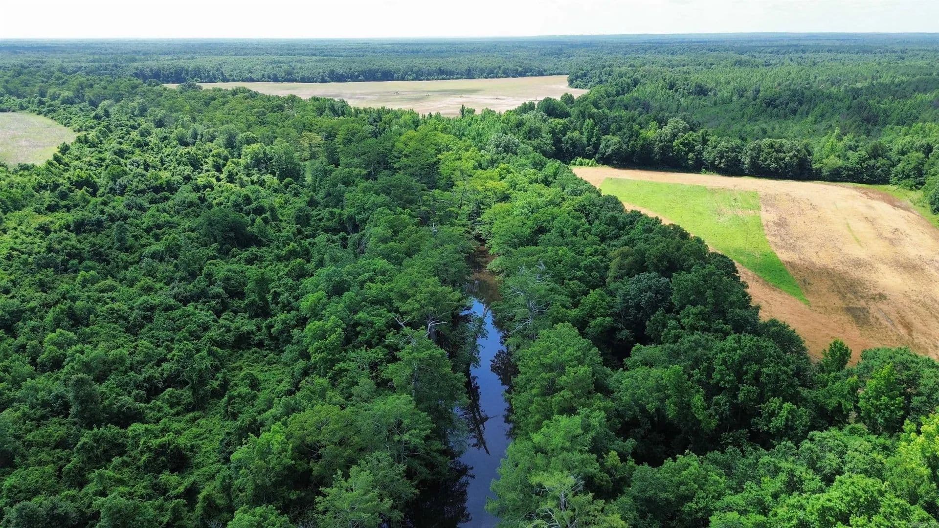 240 Acres of Land for Sale in Star City, AR - Star City, Arkansas, 71667