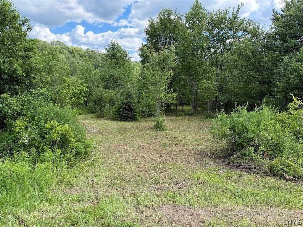 11 Acres of Land for Sale in Franklinville, NY - Franklinville, New York, 14737