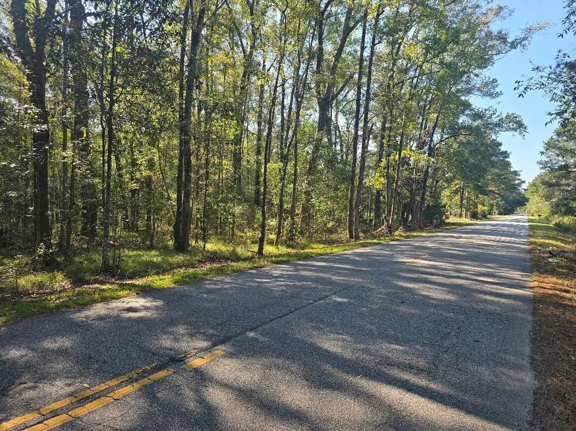 Vacant Land in Cottageville - Cottageville, South Carolina, 29435