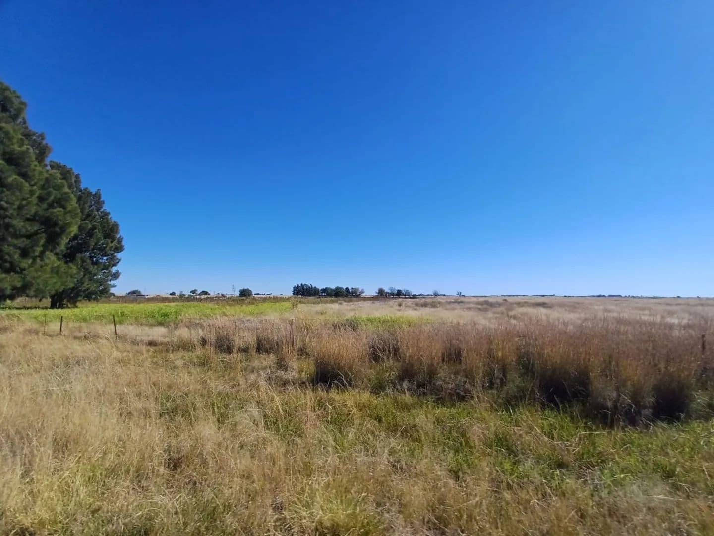 549 Acres of Land for Sale in Delareyville, North West - land for sale