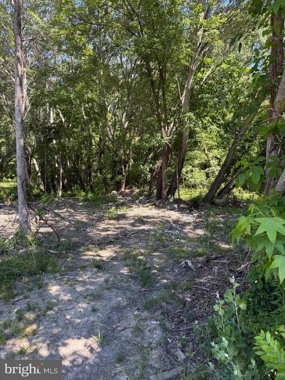 0.18 Acres of Land for Sale in Barclay, Maryland - Barclay, Maryland, 21607