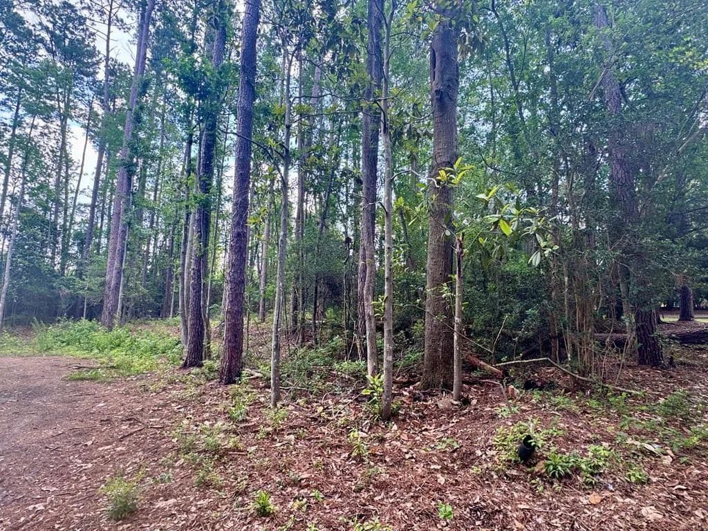 Lots & Land-Other in Thomasville - Thomasville, Georgia, 31792
