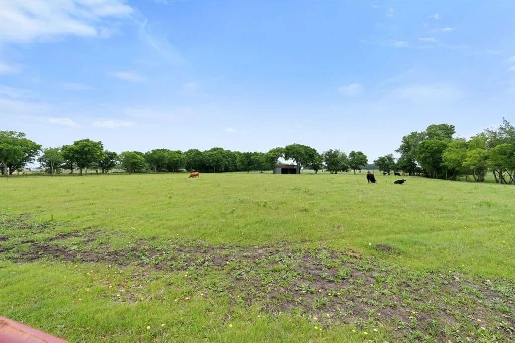 Vacant Land in Waxahachie - Waxahachie, Texas, 75165