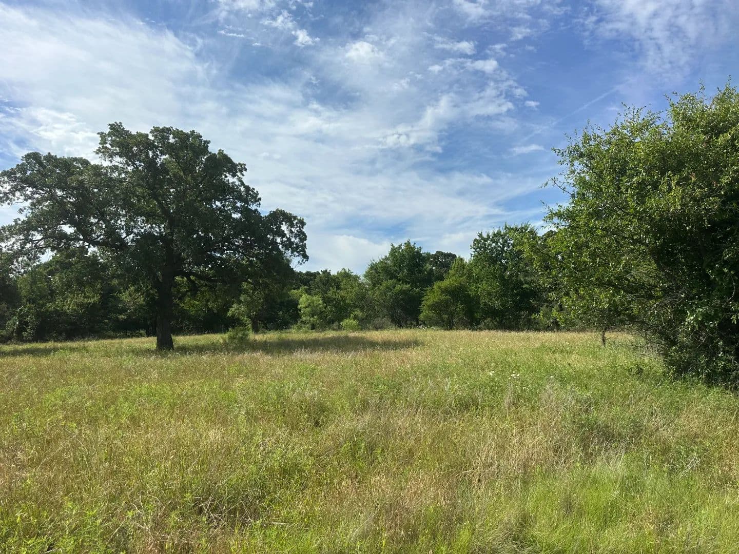 10.01 Acres (lot 7) Barry Road, Henrietta, Texas 76365 - Henrietta, Texas, 76365