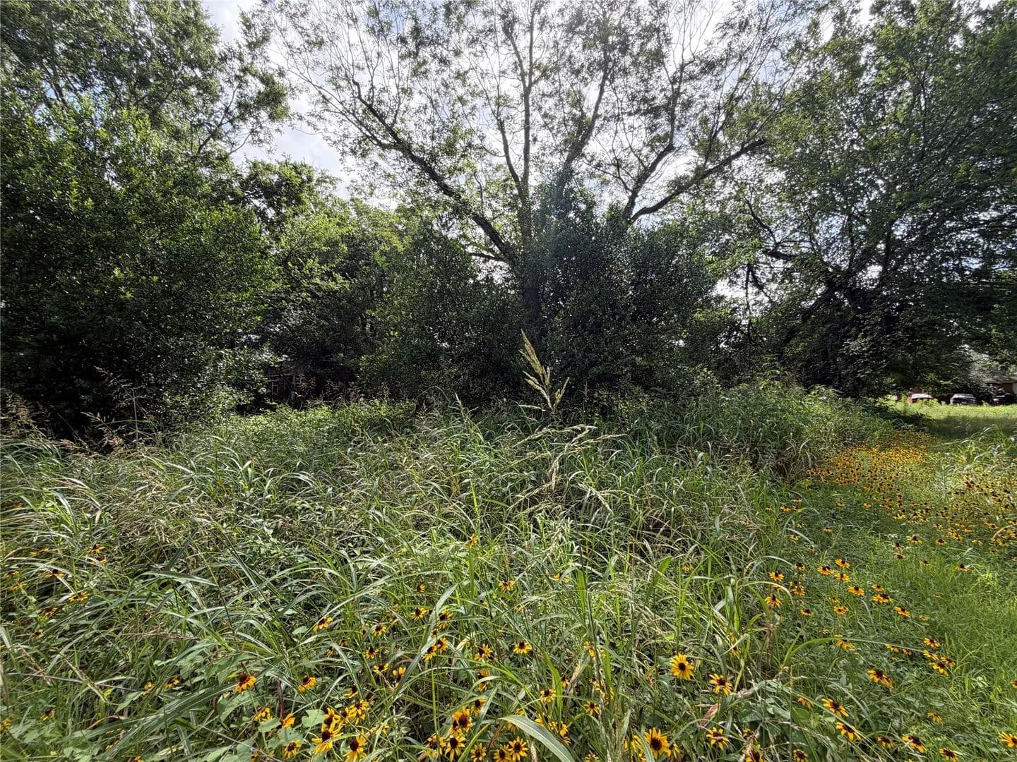 0.19 Acres of Land for Sale in Smithville, TX - Smithville, Texas, 78957