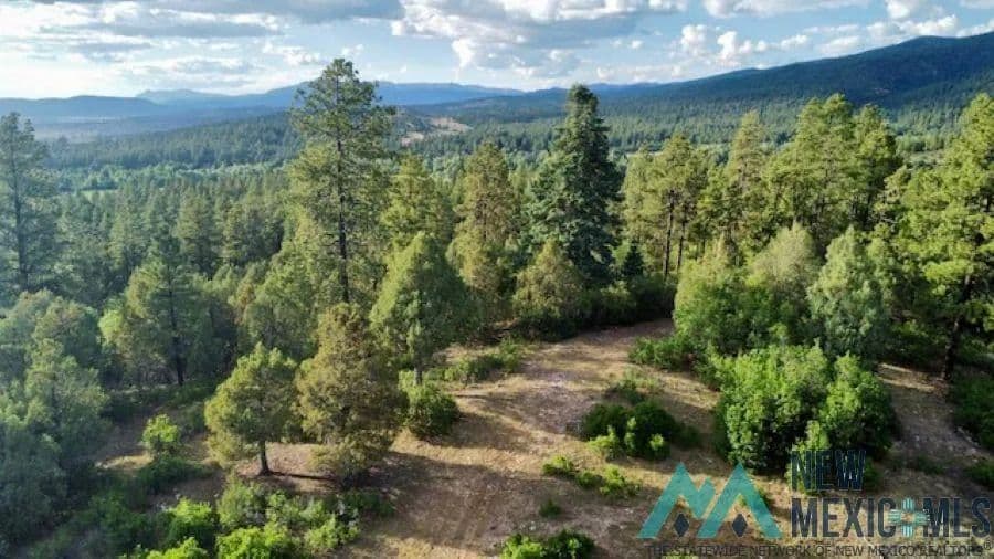 Property from TBD Log Ridge Trail Trail - KW - Chama, New Mexico, 87520