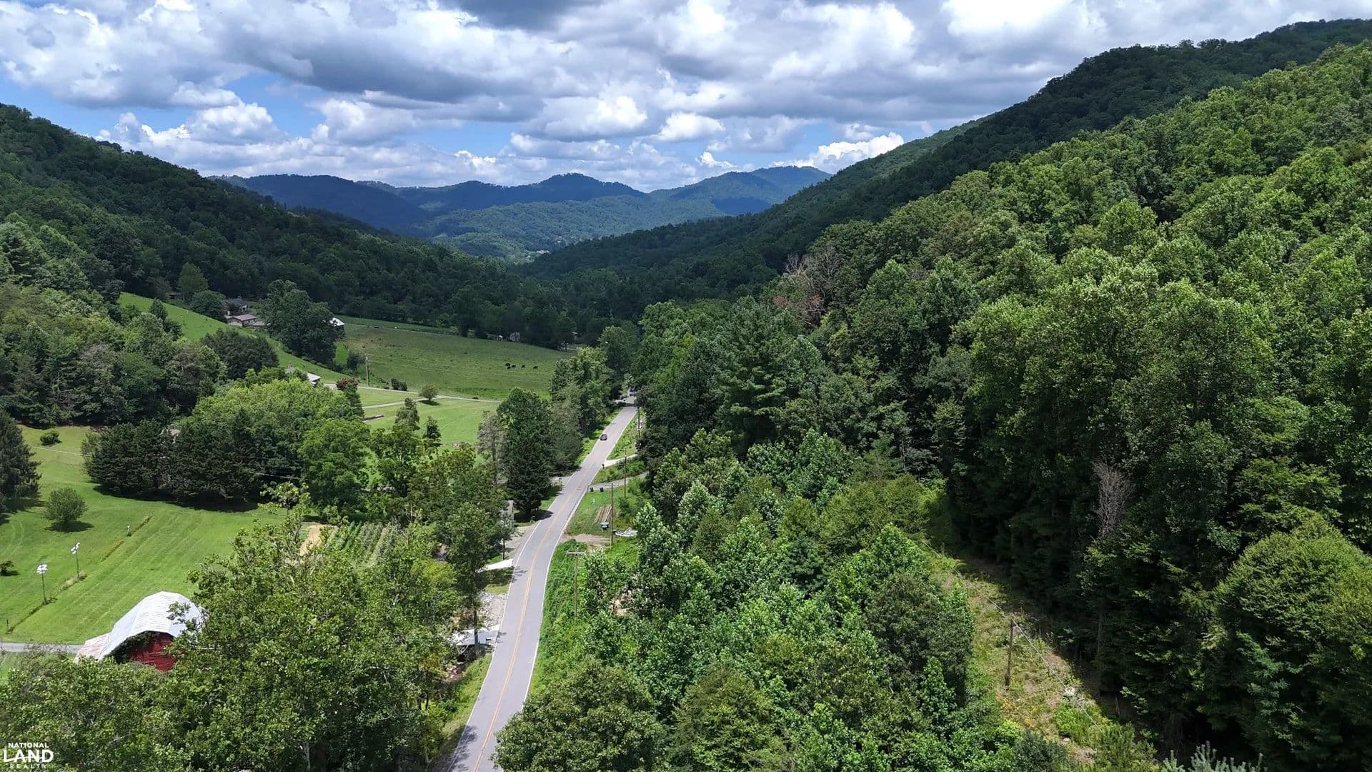 Ecological Mountain Forest Escape - land for sale