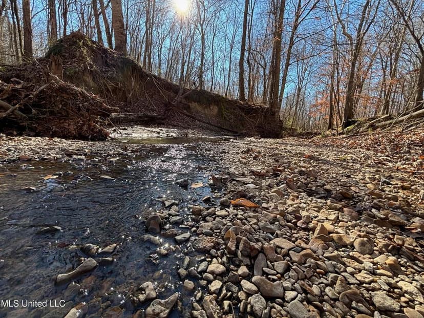 116 Acres with 1600 sq ft Cabin in Yazoo County