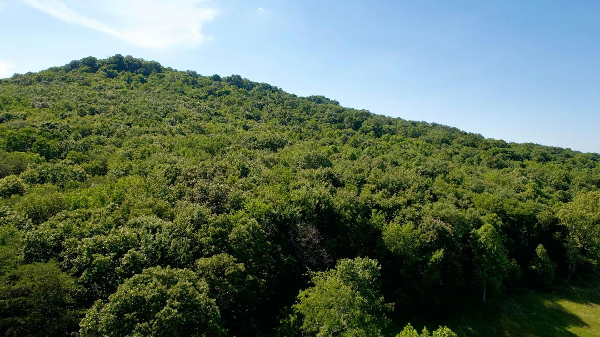 30 Acres of Land for Sale in Lucasville, Ohio - Lucasville, Ohio, 45648