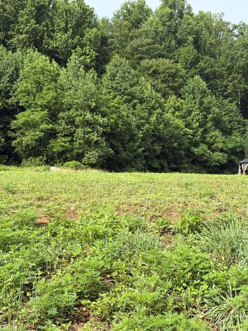 Property from 187 Tennessee 32 - KW - Cosby, Tennessee, 37722