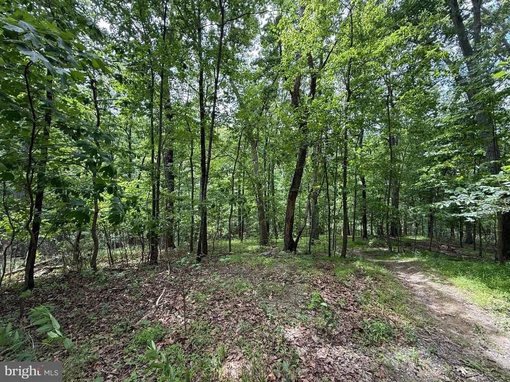 Property from MAD HATTER - KW - Harpers Ferry, West Virginia, 25425