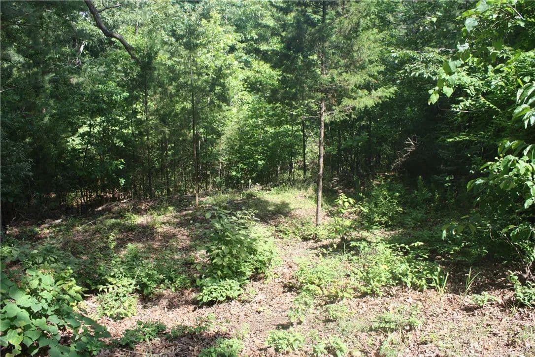 Property from 5, 6 & 7 Westmoreland Drive - KW - Bull Shoals, Arkansas, 72619