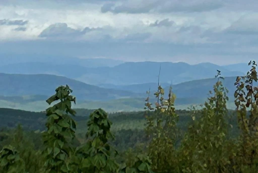 25 Acres of Land for Sale in Wingina, VA - Wingina, Virginia, 24599