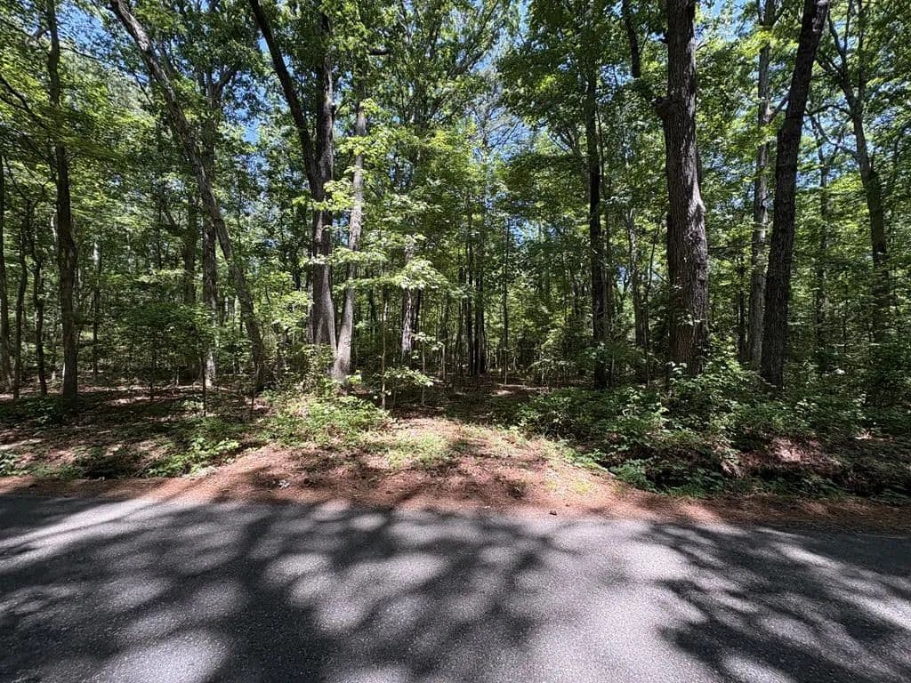 Property from 025 Bluff Point Road - KW - Kilmarnock, Virginia, 22482