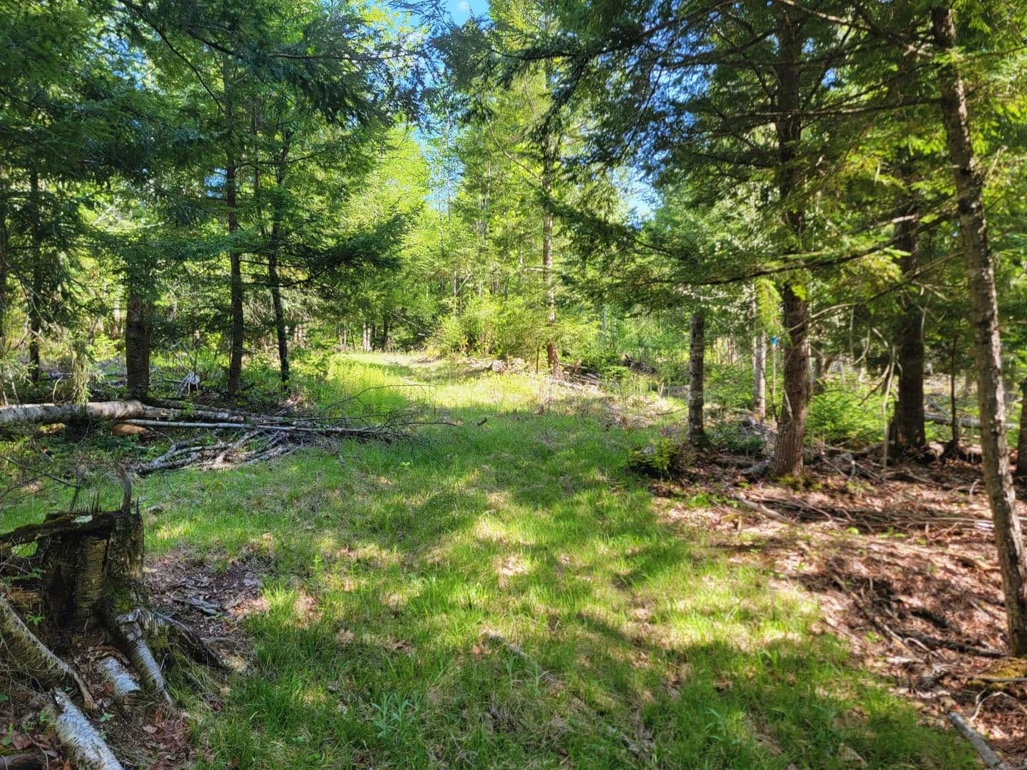 21.48 Acres of Land for Sale in China, Maine - land for sale