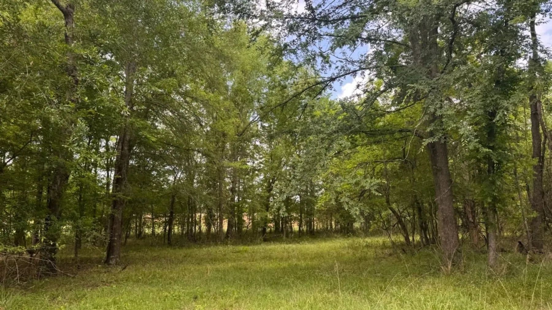 10 acres in Red River County - Dimple, Texas, 75426