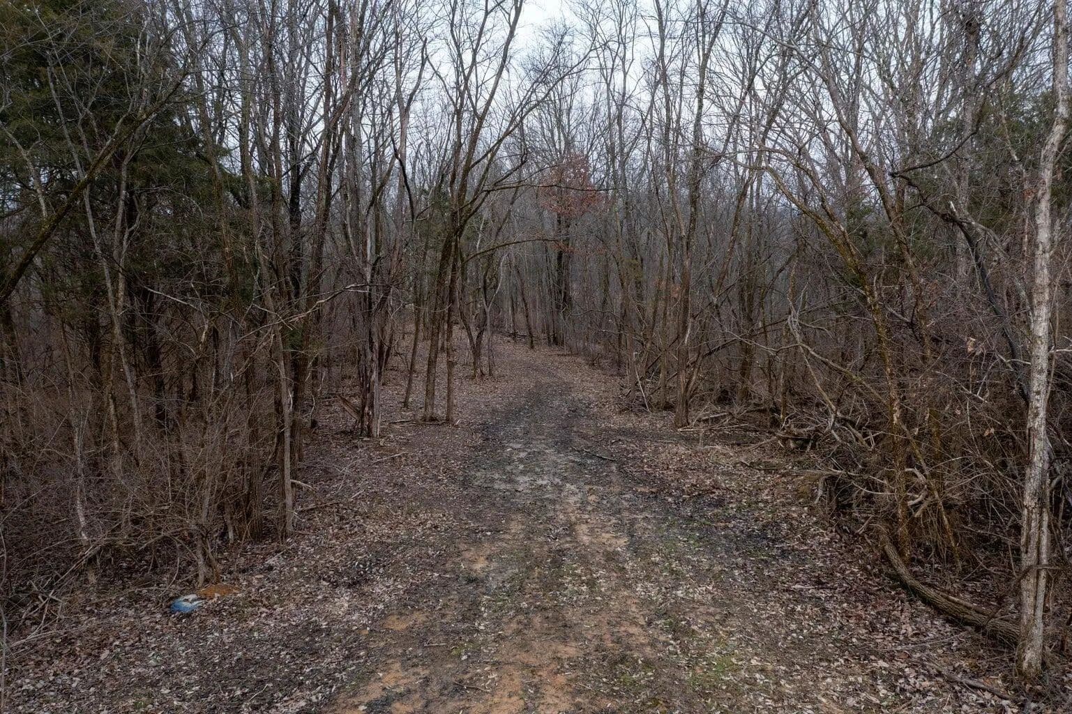 Vacant Land in Williamstown - Williamstown, Kentucky, 41097