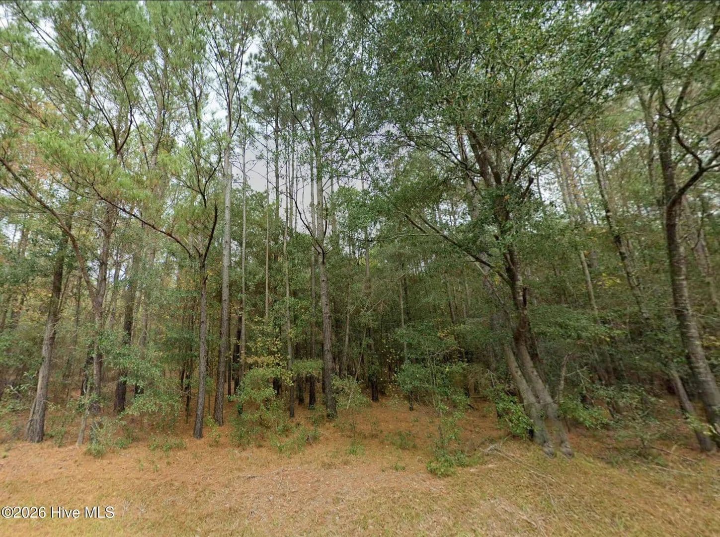 Property from 0 Shiloh Road - KW - Willard, North Carolina, 28478