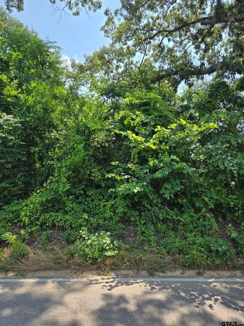 Property from TBD CR 485 #TBD CR 485 - KW - Tyler, Texas, 75706