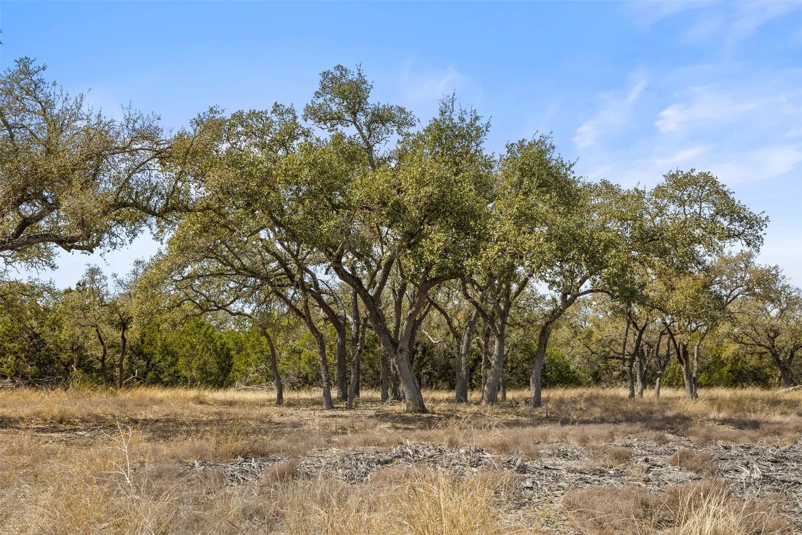 Property from 535 Becker Road - KW - Johnson City, Texas, 78636