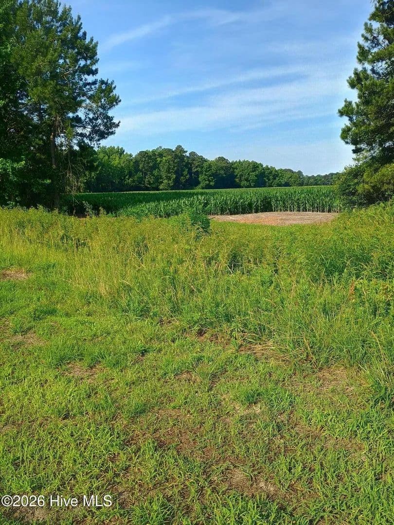 Property from 289 Grists Road - KW - Chadbourn, North Carolina, 28431