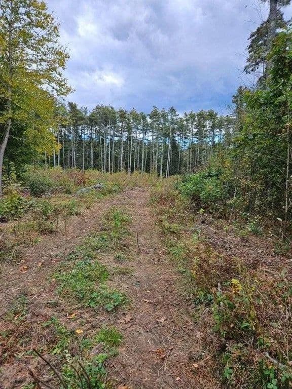 Lots & Land-Other in Orange