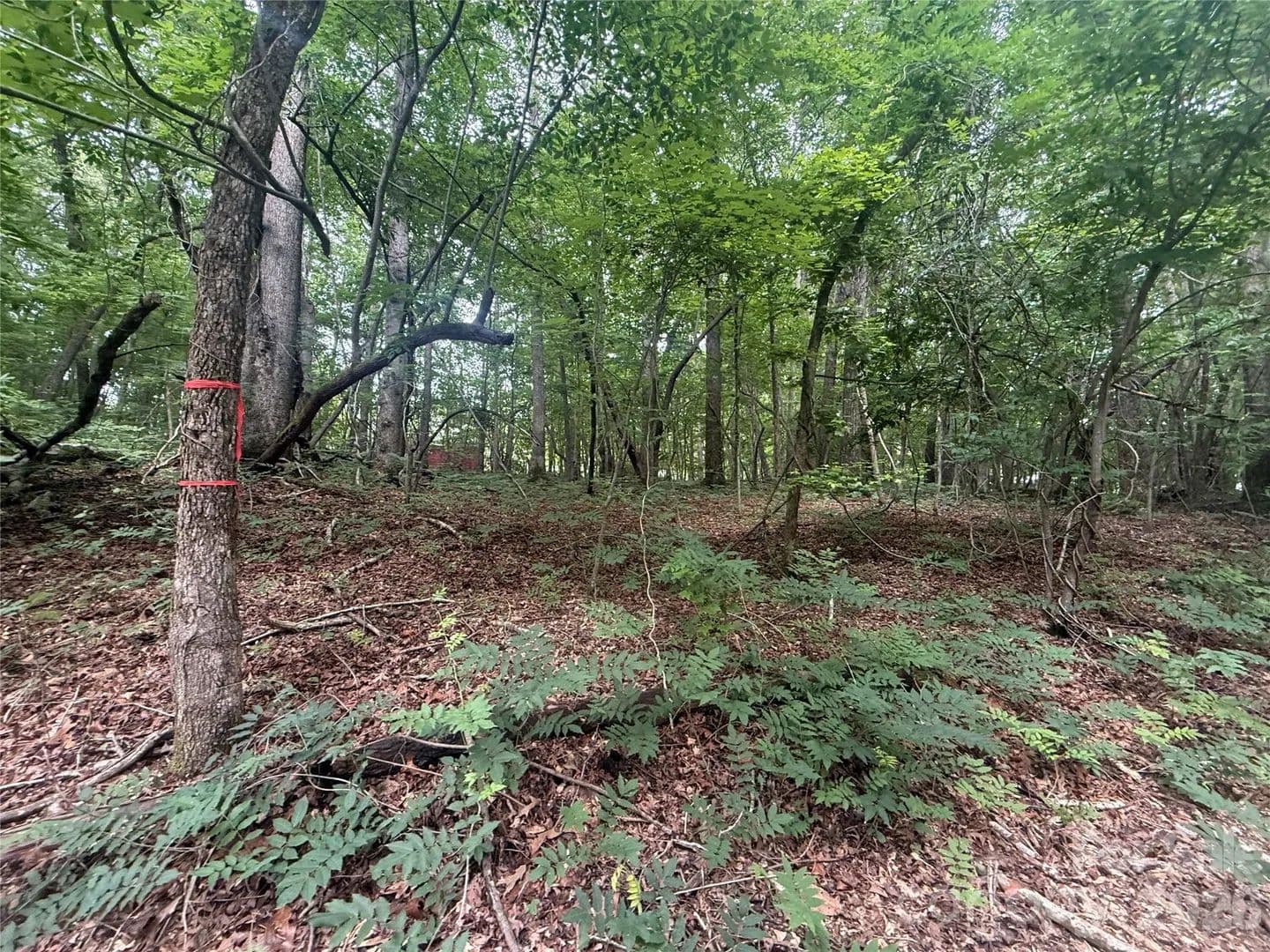 Property from 0000 S Lineberry Street - KW - Troy, North Carolina, 27371