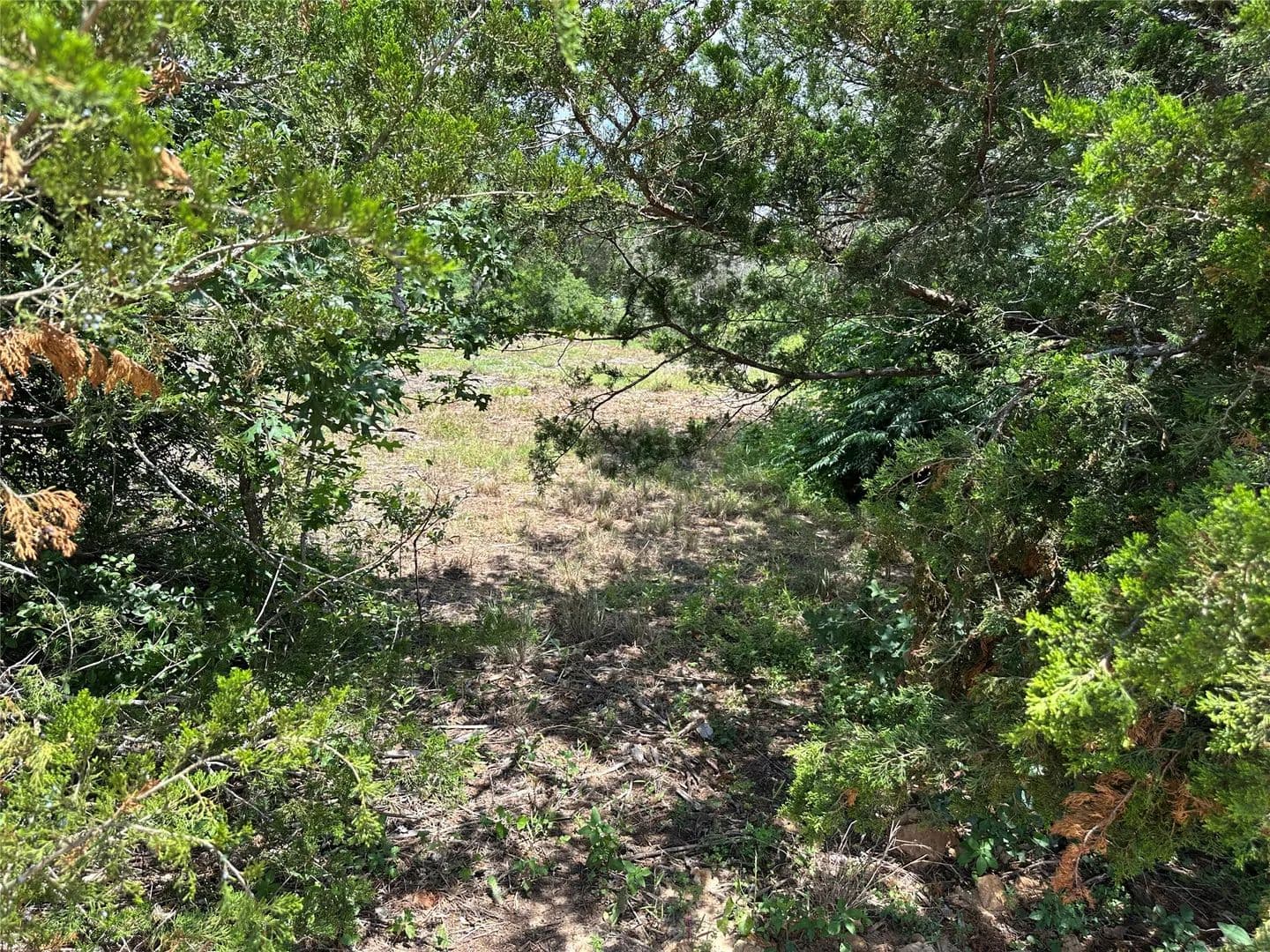 0.51 Acres of Land for Sale in Bastrop, Texas - Bastrop, Texas, 78602