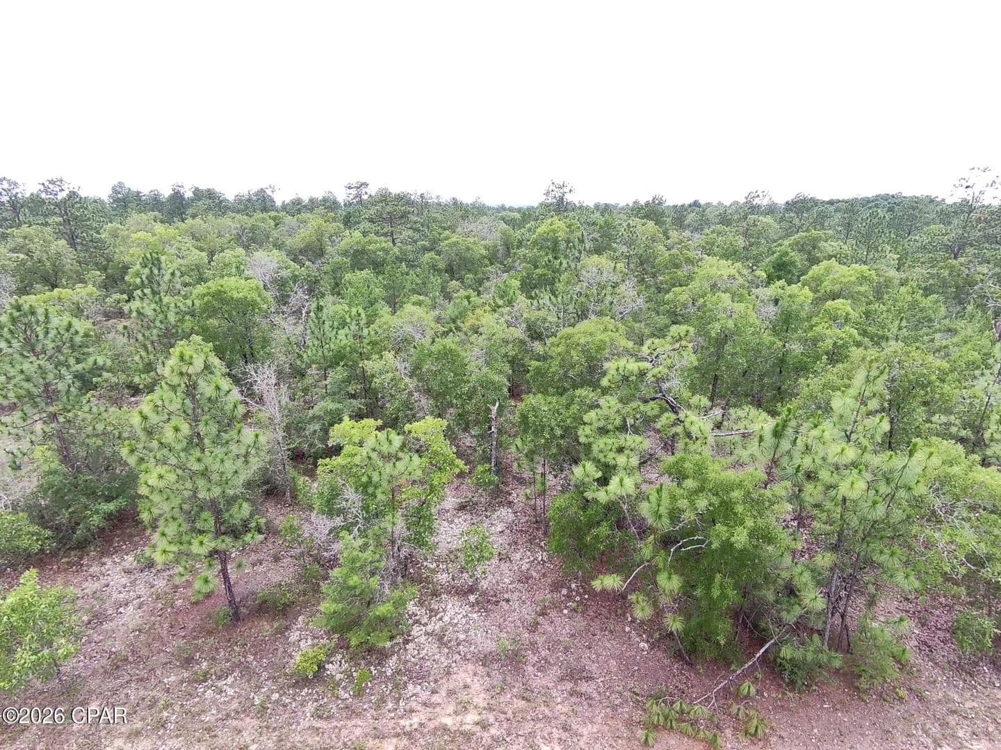 0.23 Acres of Land for Sale in Chipley, FL - Chipley, Florida, 32428
