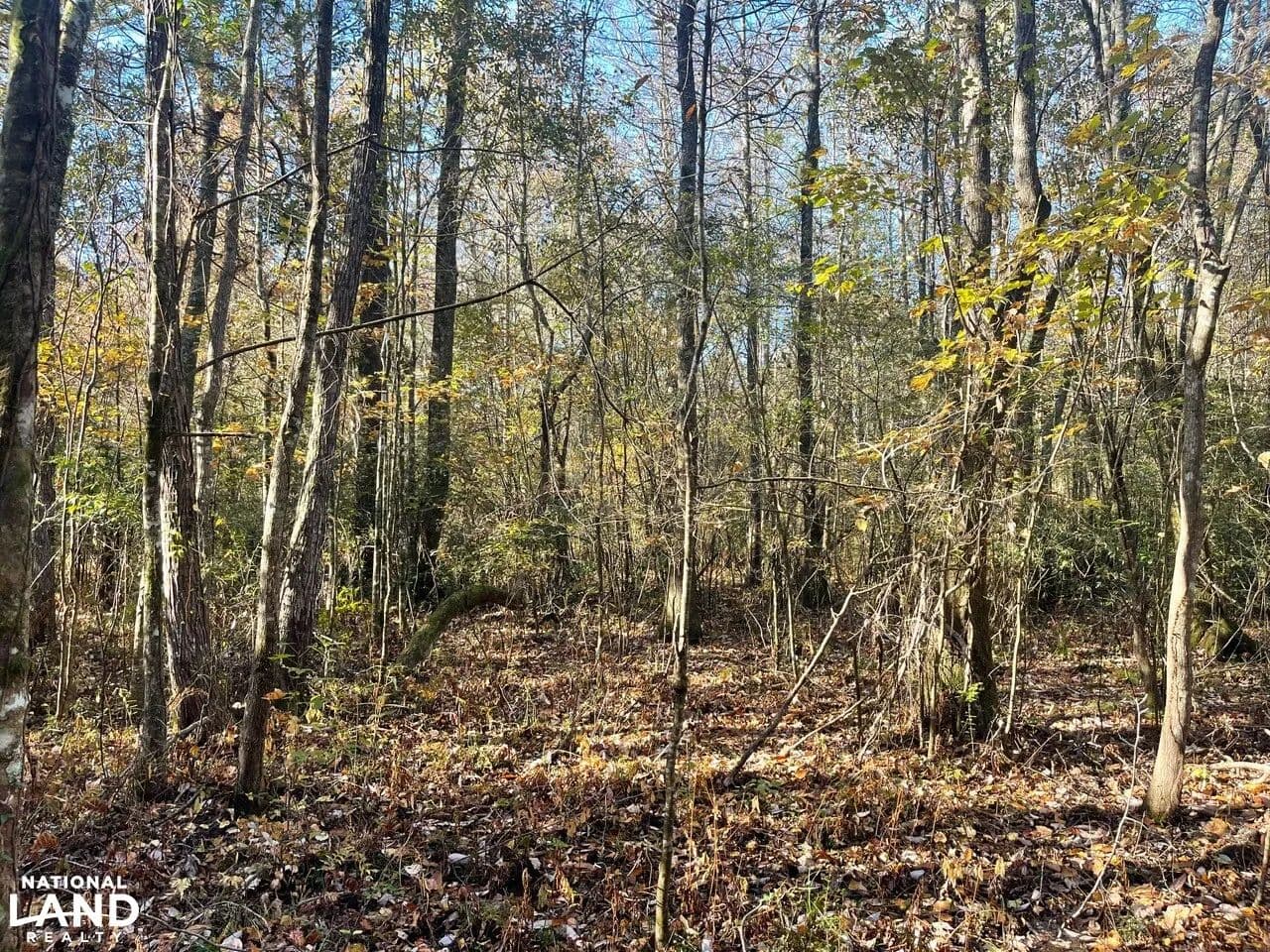 Duck Creek Investment Opportunity - land for sale