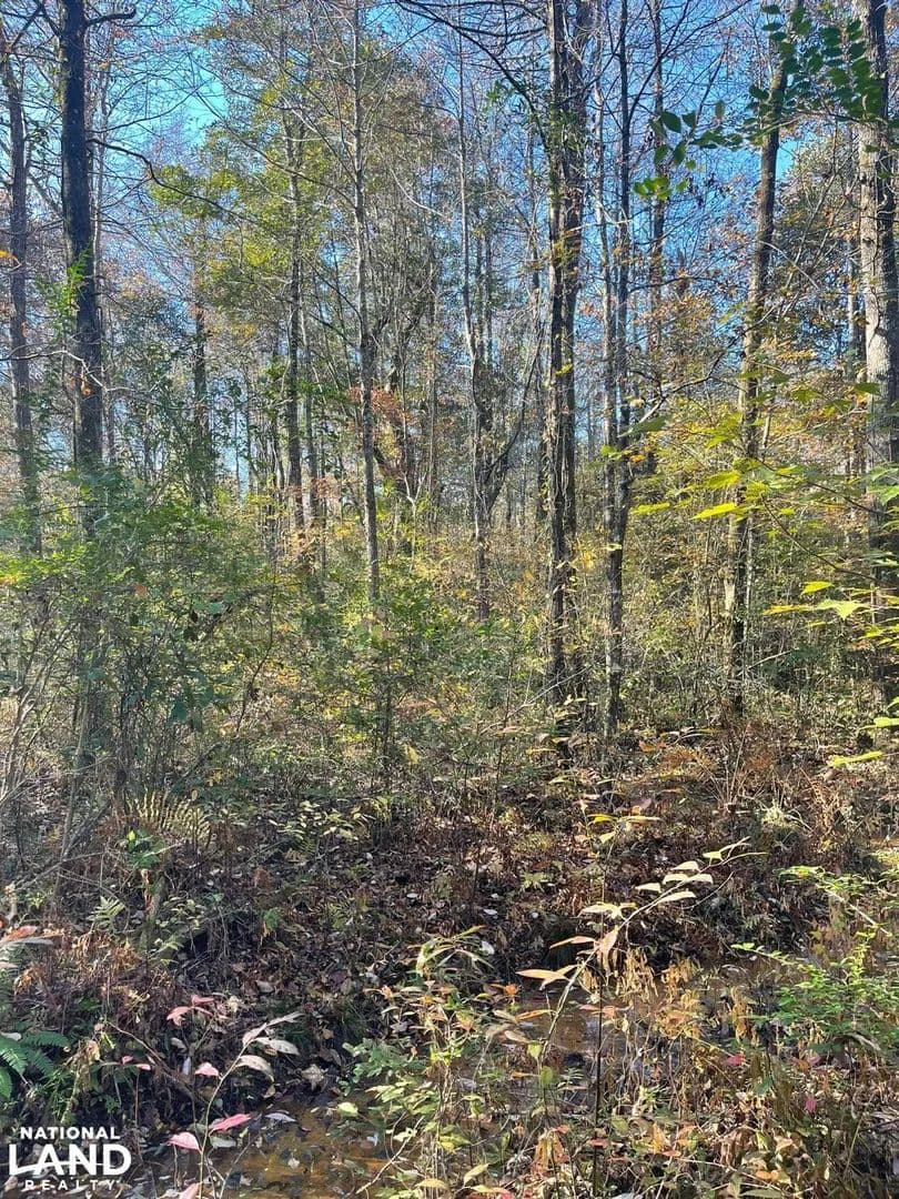 Duck Creek Investment Opportunity - Tuscaloosa, Alabama, 35484