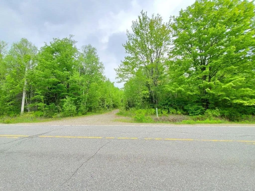 Land -Single Family Acreage in Alexander - Alexander, Maine, 04694