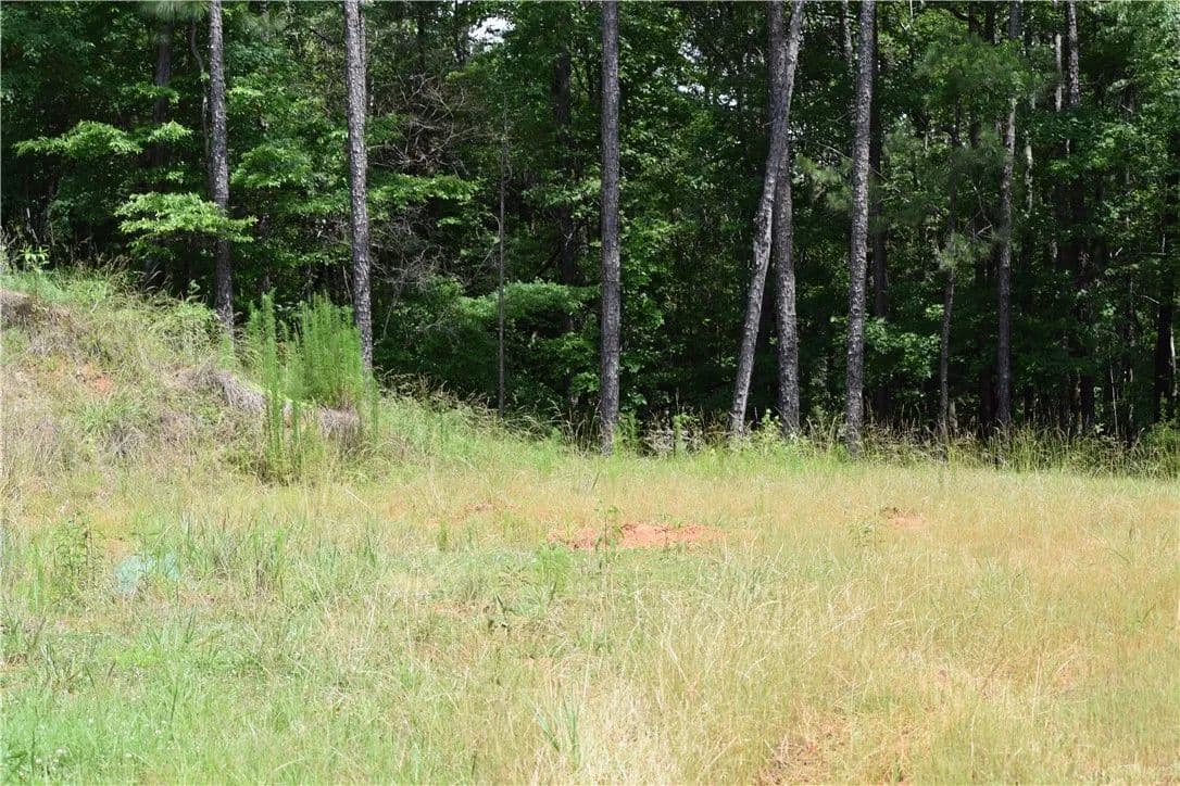 Property from 0 LEE ROAD 757 - KW - Opelika, Alabama, 36804