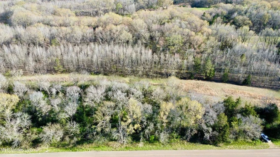 Land -Single Family Acreage in Jackson - Jackson, Mississippi, 39209
