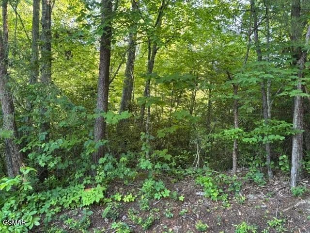 Property from Lot 1461A Ridgehigh Pass - KW - Sevierville, Tennessee, 37876