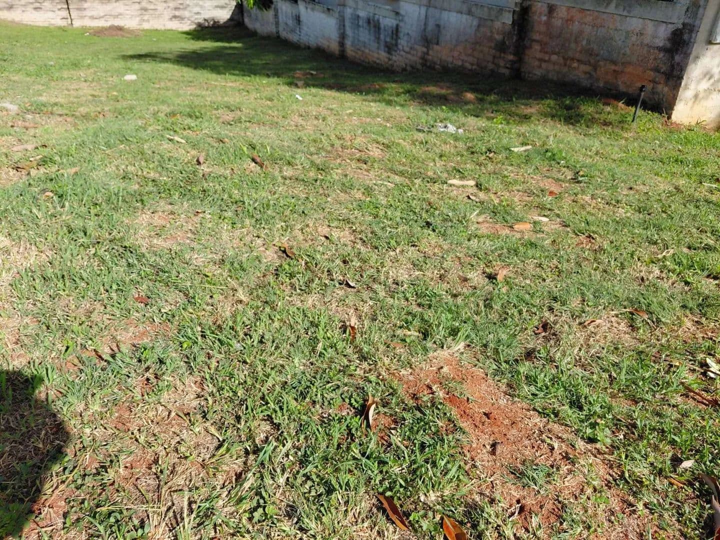 232 Acres of Land for Sale in White River, Mpumalanga - land for sale