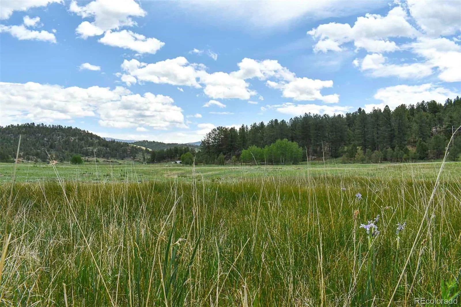 5 Acres of Land for Sale in Guffey, Colorado - Guffey, Colorado, 80820