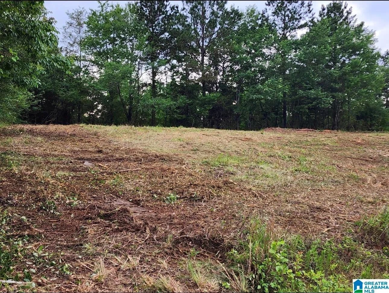 Property from 0 COUNTY HIGHWAY 13 #2 - KW - Cleveland, Alabama, 35049