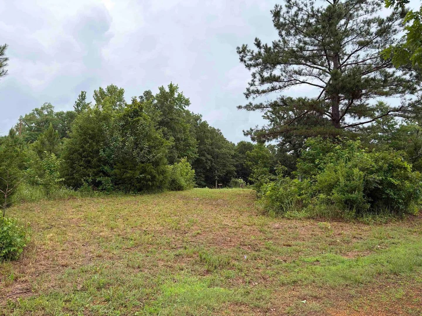 Property from 745 FOSTER RD - KW - Adamsville, Tennessee, 38310