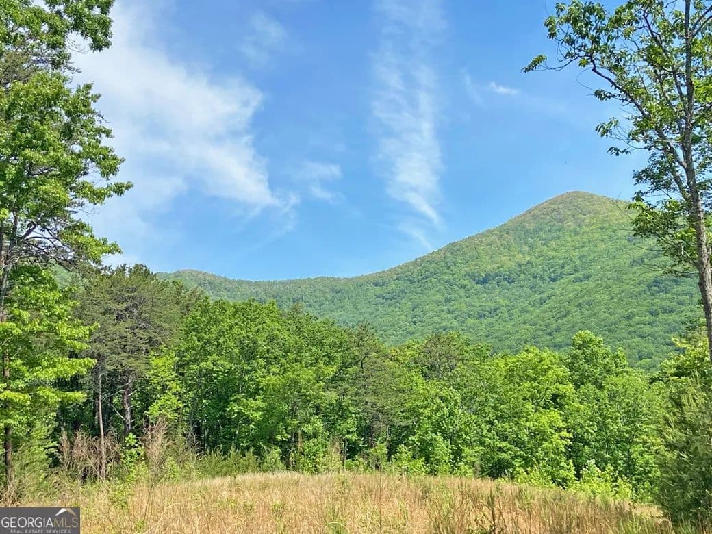 10.5 Acres of Land for Sale in Dahlonega, GA - Dahlonega, Georgia, 30533