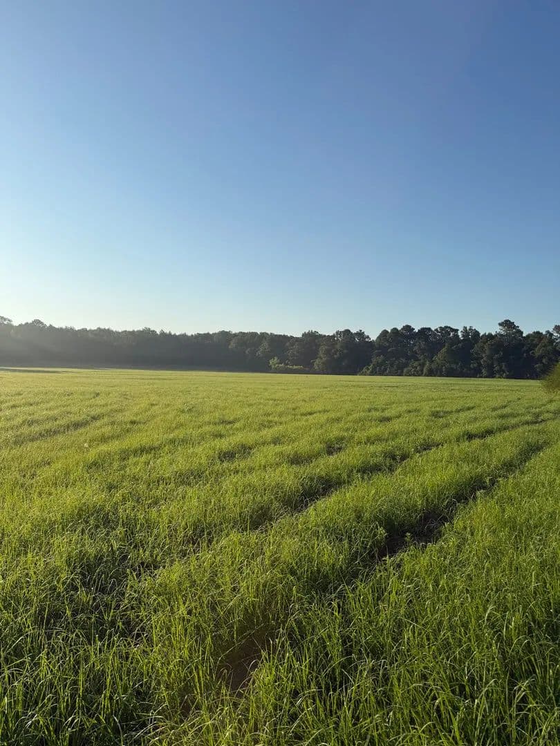 16 acres|well & septic|Holmes Co - Bonifay, Florida, 32425