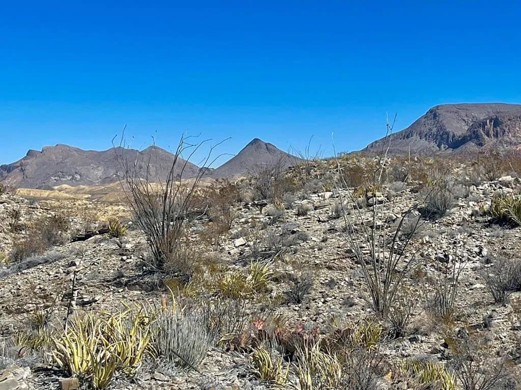 Property from TR:2687 Herman's Peak Rd - KW - Terlingua, Texas, 79852