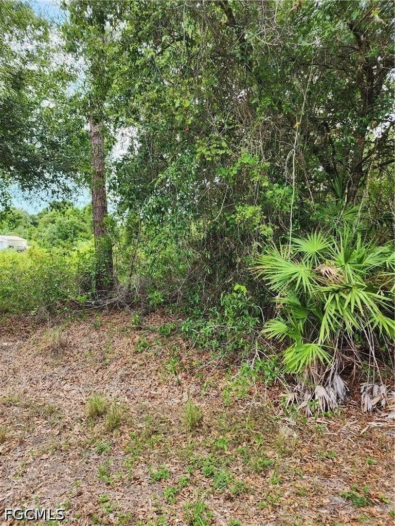 Lots & Land-Other in Lehigh Acres - Lehigh Acres, Florida, 33972