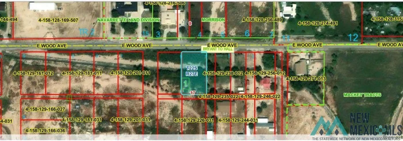100 Acres of Land for Sale in Carlsbad, New Mexico - Carlsbad, New Mexico, 88220