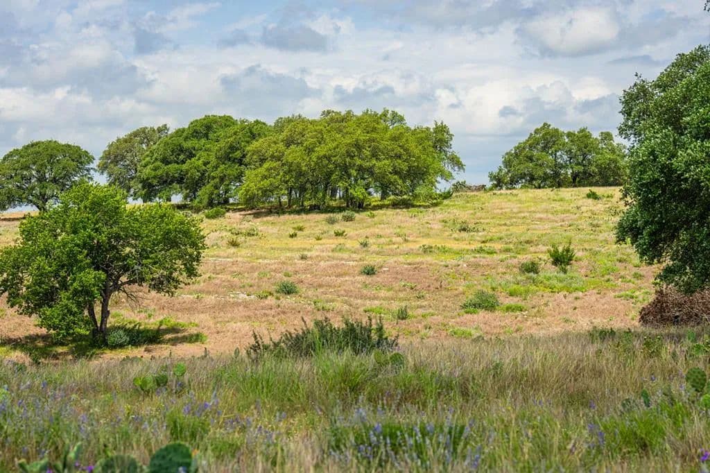 Property from Lot 164 Cattlemans Crossing Dr #164 - KW - Kerrville, Texas, 78028