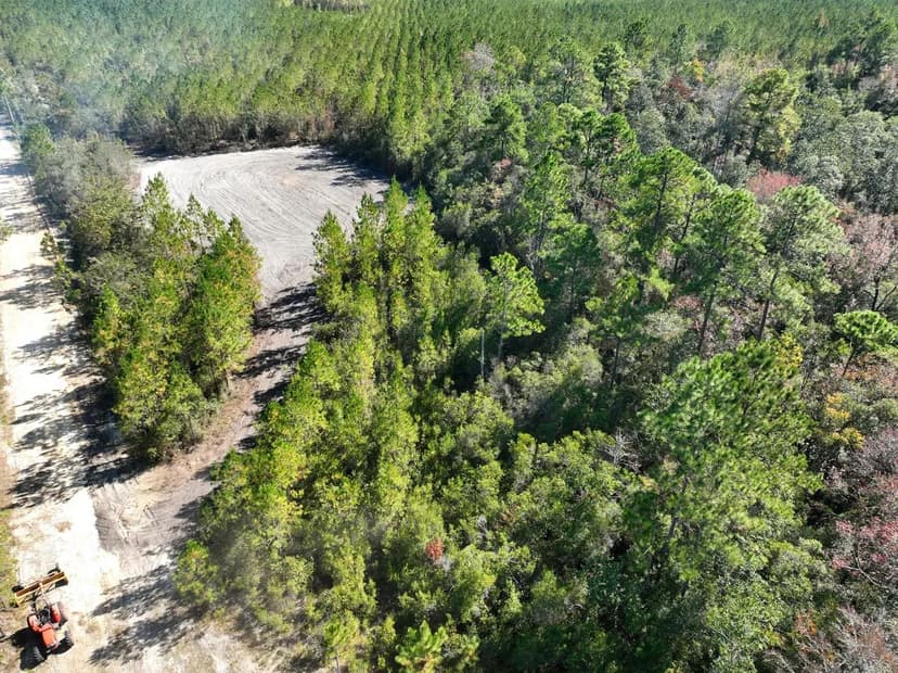 228+/- Acres Land for Sale in Brantley County, GA